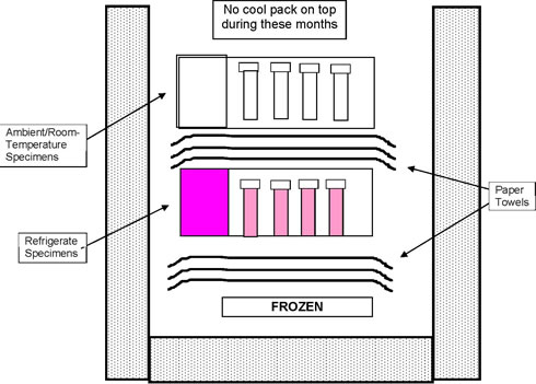 Packing a Refrigerate/Ambient Shipping Container in summer
